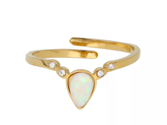 R3H42 PIERŚCIONEK ZE STALI CHIRURGICZNEJ - 1 SZTUKA