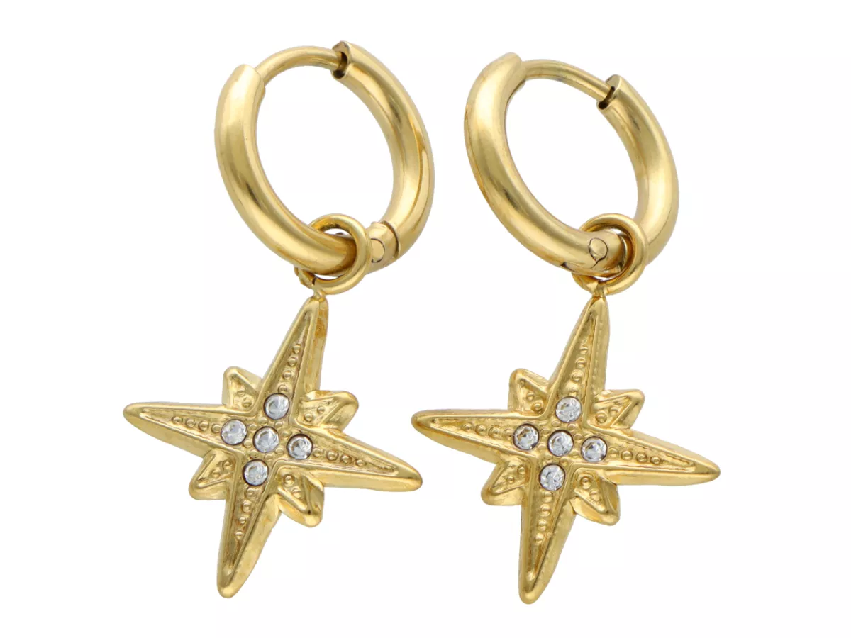 U1S39 KOLCZYKI STAL CHIRURGICZNA 1 PARA