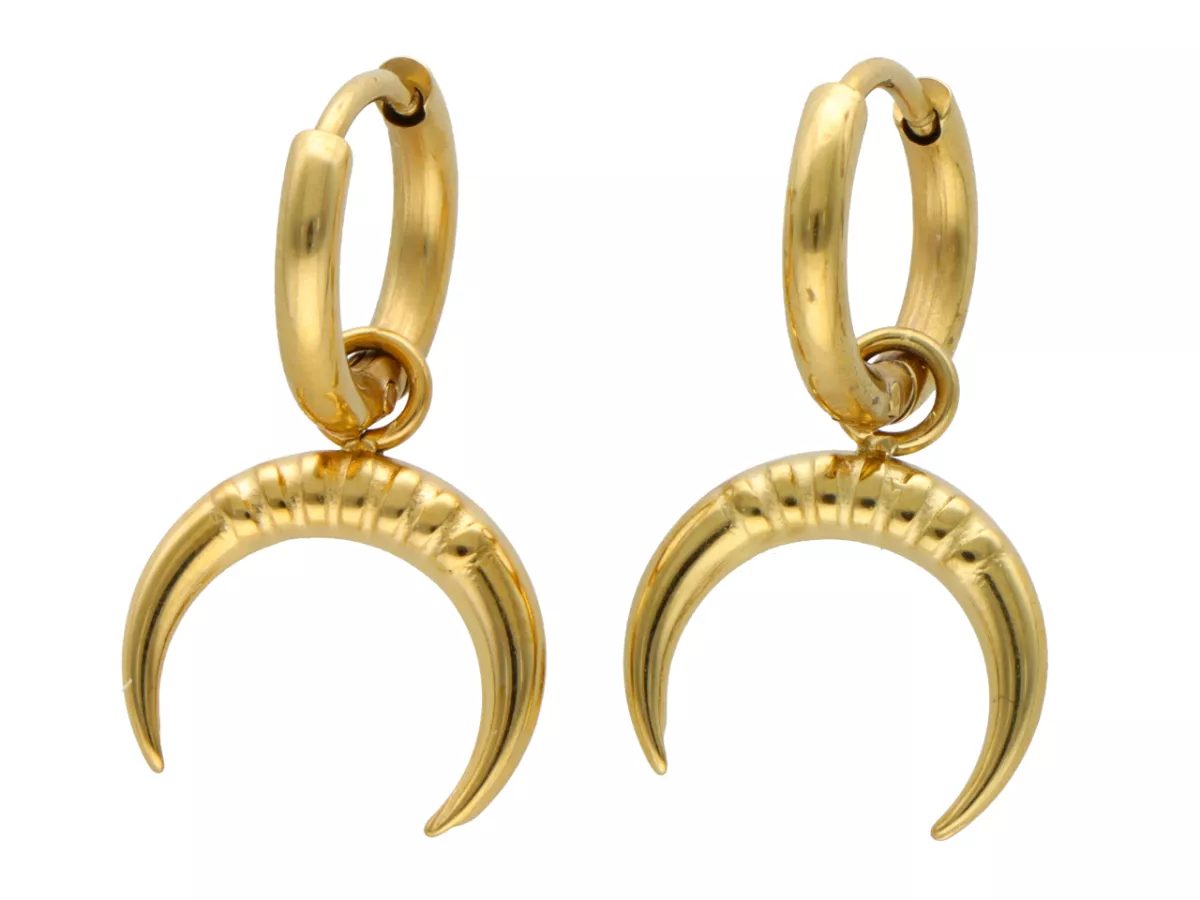 U1T96 KOLCZYKI STAL CHIRURGICZNA 1 PARA