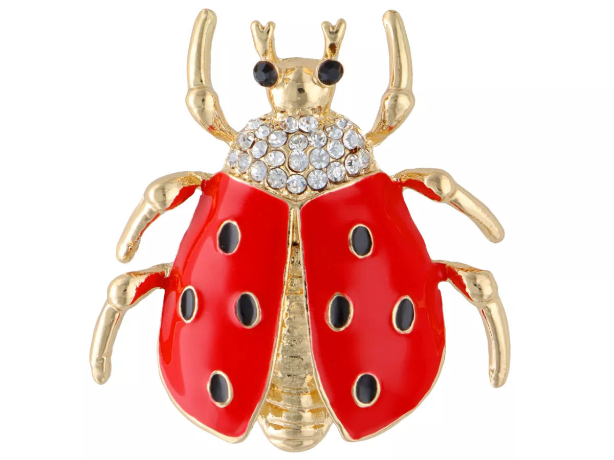 W2J59 BROSZKA OZDOBNA