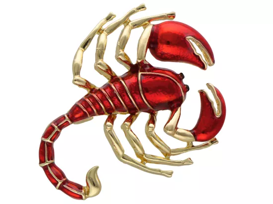 W2J94 BROSZKA OZDOBNA