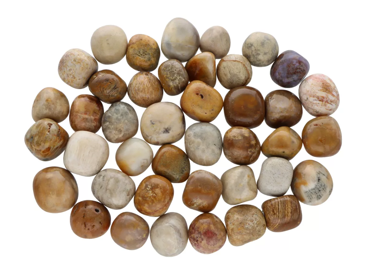 K7K59 KORAL JADEITOWY BRYŁKI - 1 KILOGRAM